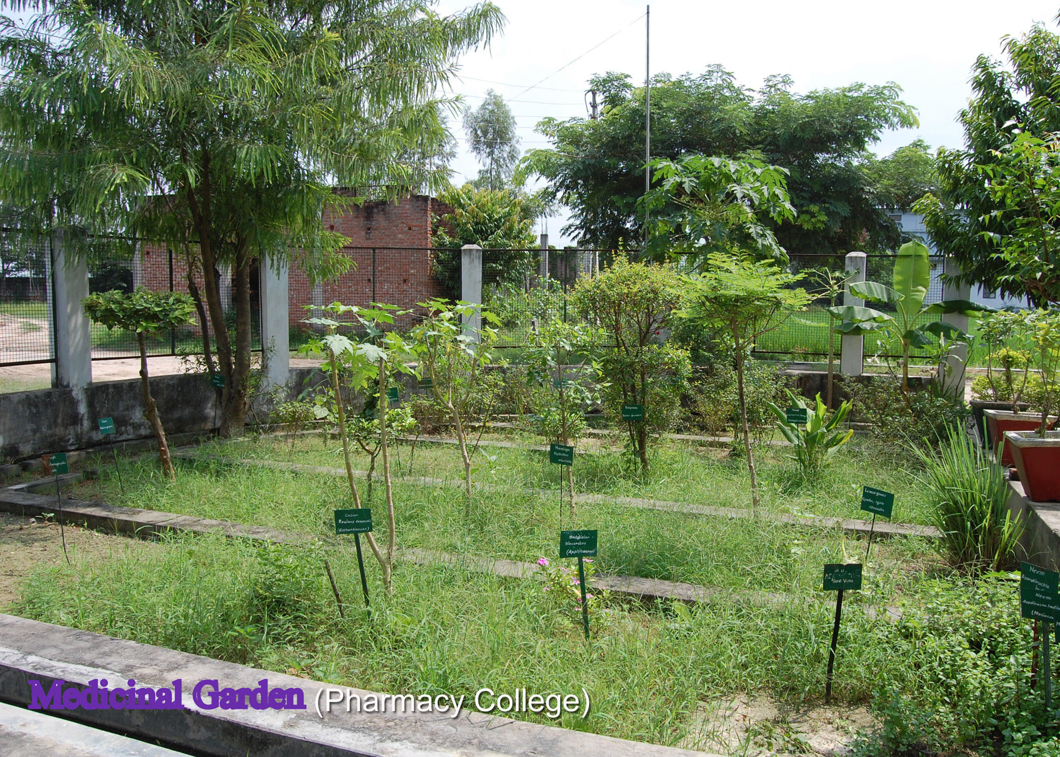 Pharmacy College Azamgarh Campus Infrastructure photo 10